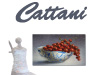 cattani-banner
